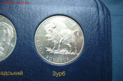 2 гривны 2003 Зубр - 24-11-18 - 23-10 мск - P2000095.JPG