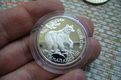 Красная книга 1 рубль 1994 гималайский медведь - 24-11-18 - P1980799.JPG