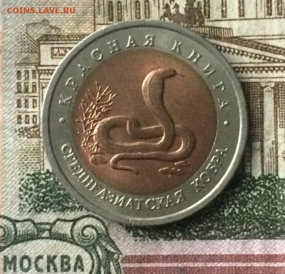 10 рублей 1992г. Красная книга.Кобра. до 26.11.18 - IMG_9227.JPG