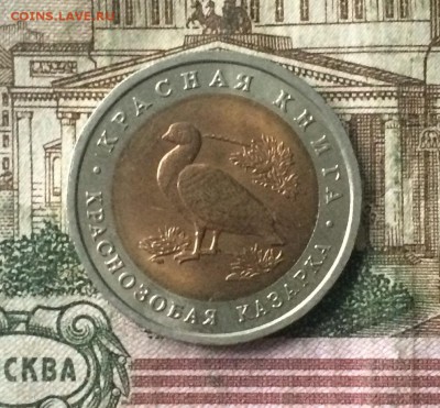10 рублей 1992г. Красная книга. Казарка до 26.11.18 - IMG_9225.JPG
