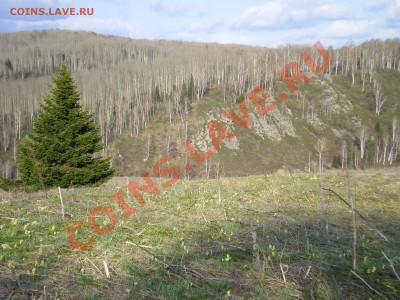 Вид из дома - IMGP0323.JPG