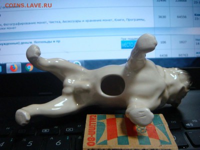 Мопс ! - DSC02758.JPG
