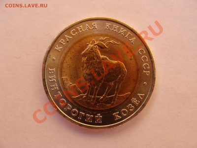 Кр.Книга. 5р. Козел. с Рубля.до 26.05.11. до 22.00. - DSC05977.JPG