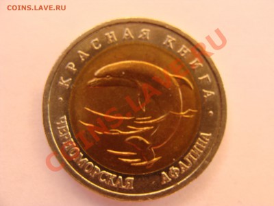 Кр.Книга.50р.1993г. Афалина. с Рубля.до 26.05.11. до 22.00. - DSC05987.JPG