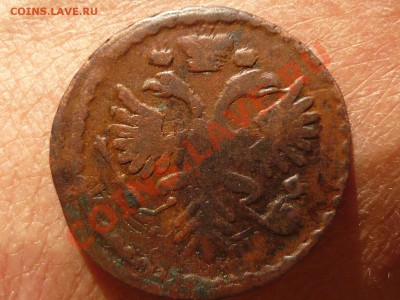 Денга 1731г. без черты до 30.04.11 в 21.00 - P1040973.JPG