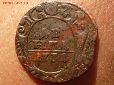 Денга 1731г. с одной чертой до 30.04.11 в 21.00 - P1040974.JPG