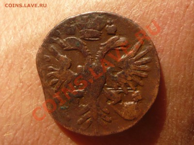 Денга 1731г. с одной чертой до 30.04.11 в 21.00 - P1040975.JPG