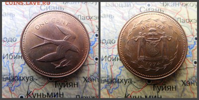 Белиз 1 цент, 1974 Вилохвостый коршун - 1
