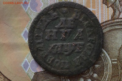 Петровская монета - CSC_0361.JPG