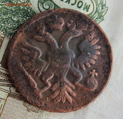 Редкая Московская денга 1739г до 27.11 в 22-00 МСК - IMG_6347.JPG