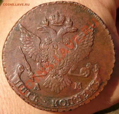 5 копеек 1789 АМ  до 30.04.11 в 21.00 - P1040998.JPG