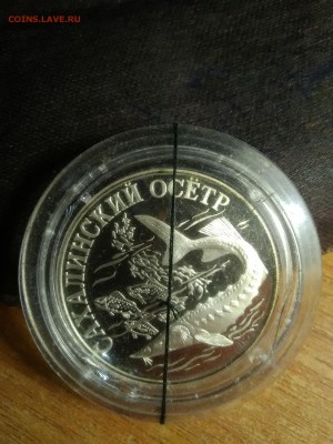 1 рубль 2001 Сахалинский осётр. Серебро. Брак? - IMG_20181125_020355