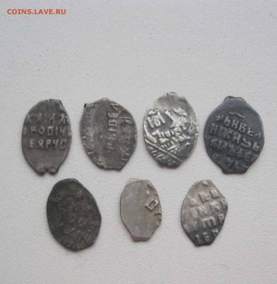 7 чешуек - IMG_2698.JPG
