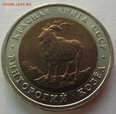 5 рублей 1991 Г. К.К. (винторогий козёл) до 30.11.2018 - DSCF3550.JPG