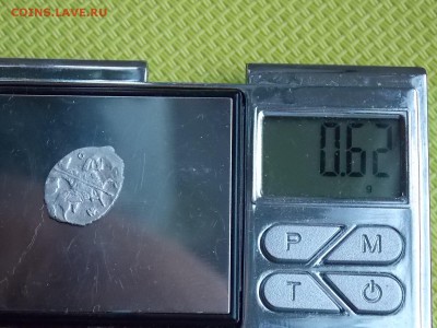 чешуя Бориса Годунова до 30.11.2018  22-15 - DSCN3436.JPG