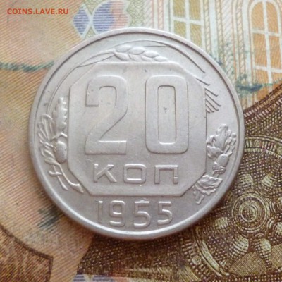 20 копеек 1952-1957 подряд, до 29.11 в 22-30 - 20 копеек 1952-1957 подряд, до 29.11 в 22-30g.JPG
