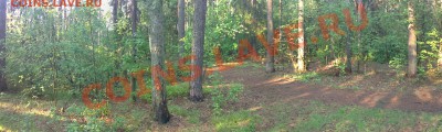 ФОТО - просто фото. Те что получились удачными. - 21052011342.JPG