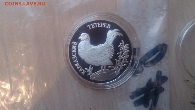 Красная книга 1 Рубль 1995 Кавказский тетерев до 3.12 - DSC_4371.JPG