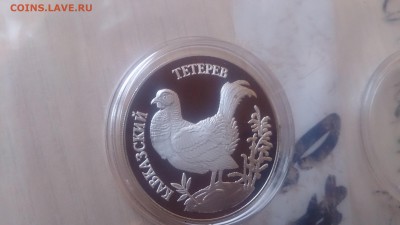 Красная книга 1 Рубль 1995 Кавказский тетерев до 3.12 - DSC_4367.JPG