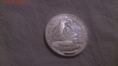 Красная книга 1 Рубль 2005 Длинноклювый пыжик до 3.12 - DSC_4423.JPG