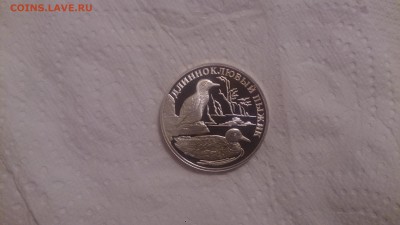 Красная книга 1 Рубль 2005 Длинноклювый пыжик до 3.12 - DSC_4417.JPG
