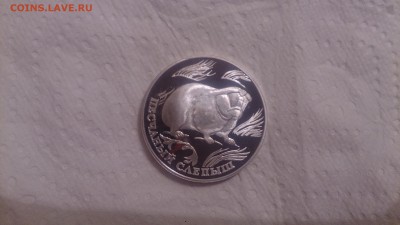 Красная книга 1 Рубль 1996 Слепыш до 3.12 22.10МСК - DSC_4447.JPG