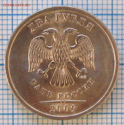 3 - 3-.JPG