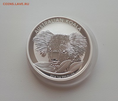 Австралия 1 доллар 2014 Австралийский коала 30.11.18г 22.00 - 20181124_135422