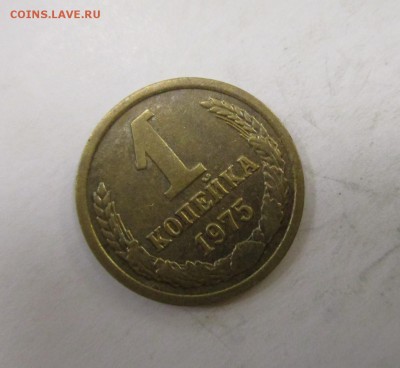Браки на оценку - IMG_5731.JPG