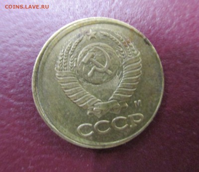 Браки на оценку - IMG_5737.JPG