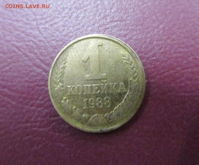 Браки на оценку - IMG_5745.JPG