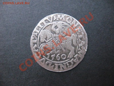Полугрош 1560 г. - полугрош