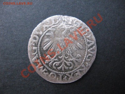 Полугрош 1560 г. - полугрош2