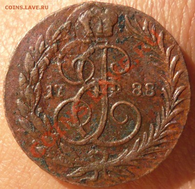 1 коп 1788 мм 2 шт. - P1050065.JPG