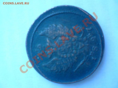 оцените - DSC01145.JPG