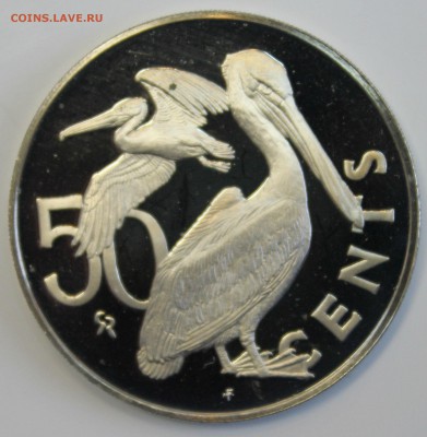 С РУБ.БРИТ.ВИРГИНСКИЕ О-ВА  50с 1974г.ПРУФ ПЕЛИКАНЫ до 5.12 - IMG_5504.JPG