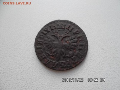 денга 1712 года - SAM_5114.JPG