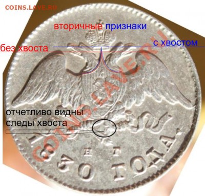 20 копеек 1830, крылья вниз, без хвоста - Рисунок2