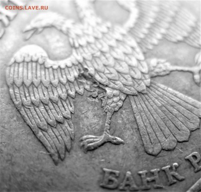 БРАКи опознать - IMG_8030.JPG
