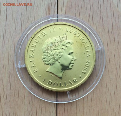 Австралия 1$ долларов 2008 Короткошёрстный вомбат Животные Ф - avstralija_1_dollarov_2008_korotkosherstnyj_vombat_zhivotnye_fauna (1)