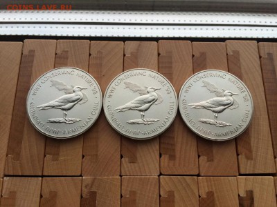 Крона Шайба Армения 100 драм 1998 Армянская Чайка Птицы WWF - krona_shajba_armenija_100_dram_1998_armjanskaja_chajka_pticy_wwf_fauna_fond_dikoj_prirody