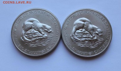 Крона Шайба Армения 100 драм 1997 Кавказская Выдра Сохраним - krona_shajba_armenija_100_dram_1997_kavkazskaja_vydra_sokhranim_prirodu_fond_dikoj_prirody_fauna