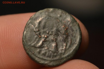 Рим.Капитолийская Волчица кормящая Ромула и Рема. - CSC_0484.JPG