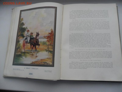 Книга PENROSES PICTORIAL ANNUAL 1902-03. - SAM_7114.JPG