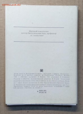 Набор открыток"Насекомые"25 шт.1980 г.до 6.12. в 22.00 м - IMG_20181201_130208