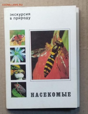 Набор открыток"Насекомые"25 шт.1980 г.до 6.12. в 22.00 м - IMG_20181201_130239