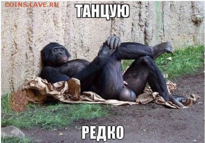 веселые картинки - 12350486