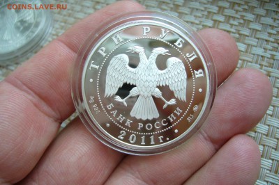 3 рубля 2011 - леопард - 04-12-18 - 23-10 мск - P2010631.JPG