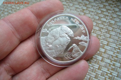 3 рубля 1997 - Белый медведь - 04-12-18 - 23-10 мск - P2010643.JPG