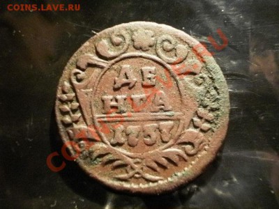 денга 1737г    Окончание: 31.05.11 в 21-20 - P1100020.JPG